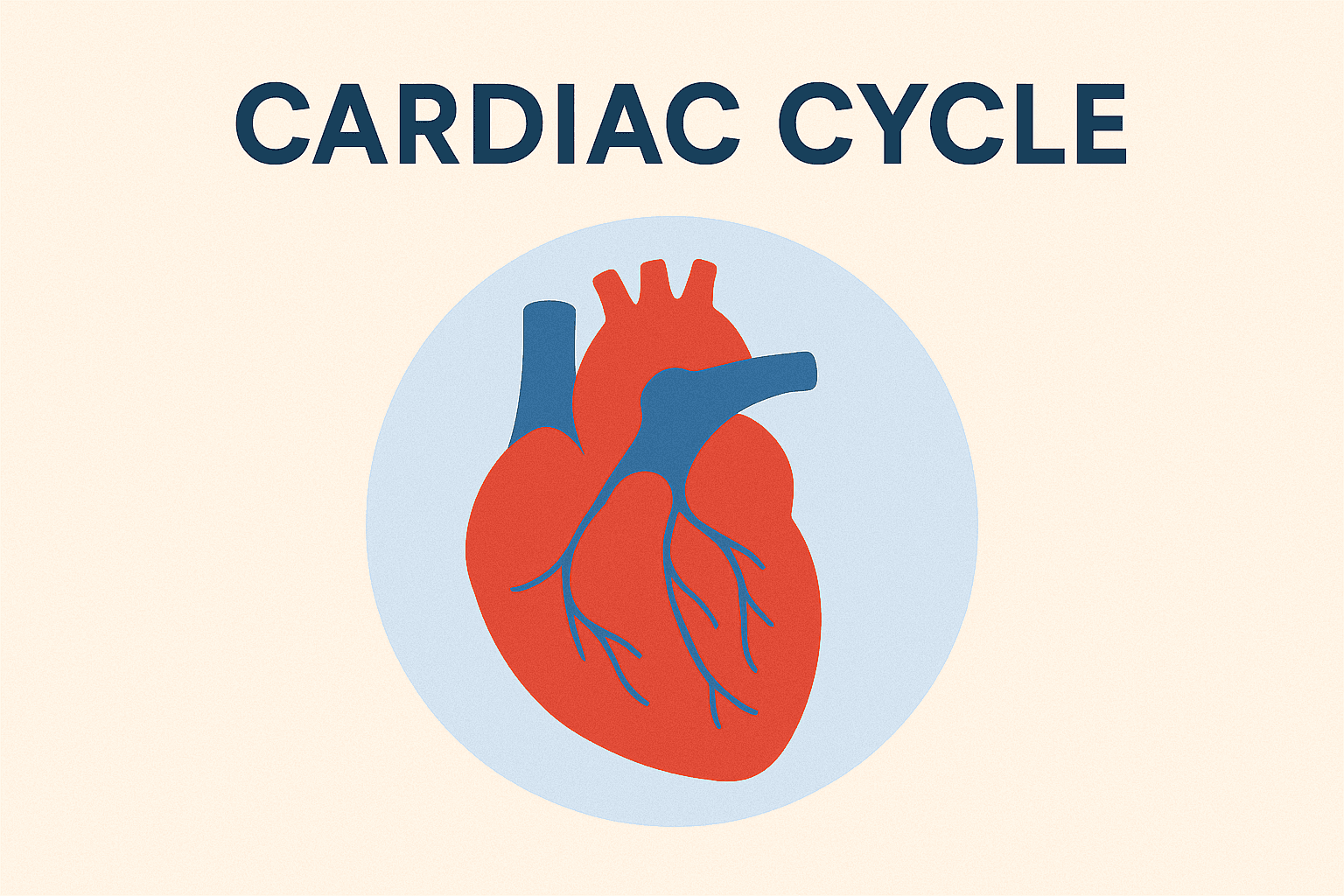 The Cardiac Cycle: Essential Knowledge for Nurses