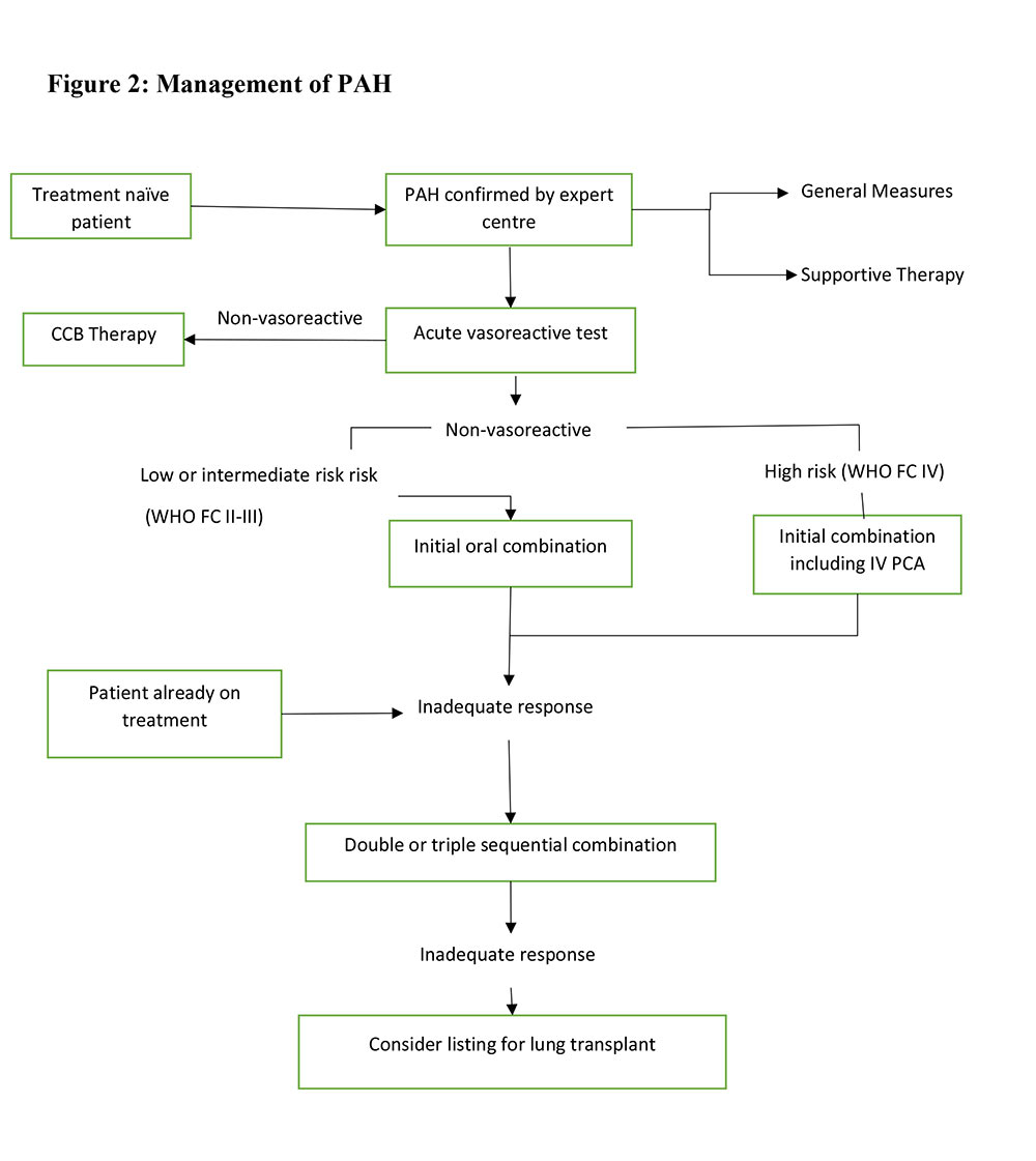 Pulmonary hypertension management guidelines